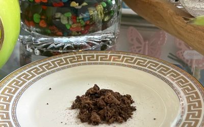 Encen « Nénuphare Blanc »
